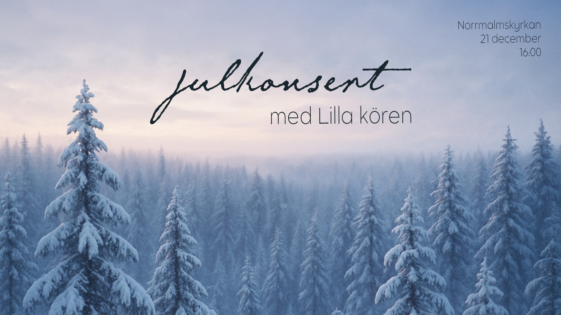 Julkonsert 2025